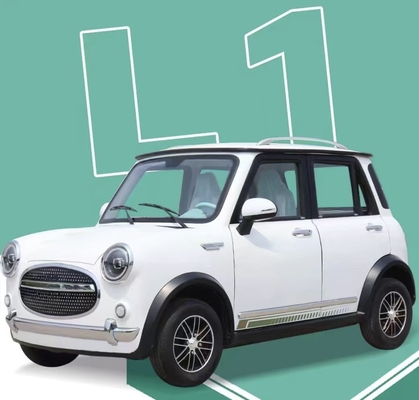 3000W 4륜 전기차 300km 내구력으로 지속가능한 교통의 미래