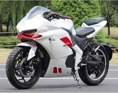 2024 전기 라운드 자동차 3000W 최대 속도 성인 경주용 특수 전기 차량 61-80km/h