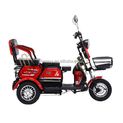 성인용 전기 삼륜자전거 48v 800w 배터리 60V100Ah 리?? 이온