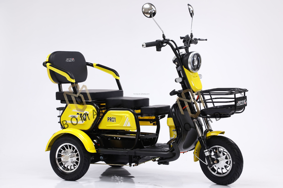 성인용 전기 삼륜자전거 48v 800w 배터리 60V100Ah 리?? 이온