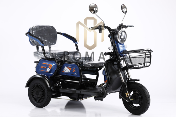 성인용 전기 삼륜자전거 48v 800w 배터리 60V100Ah 리?? 이온