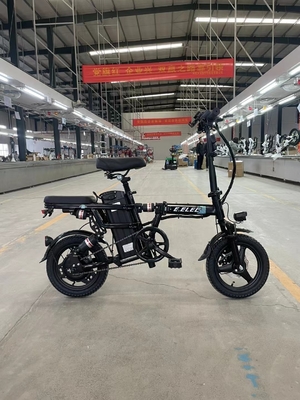 3000W 여행 전기 자동차 자동 운전 및 48V 열 전압
