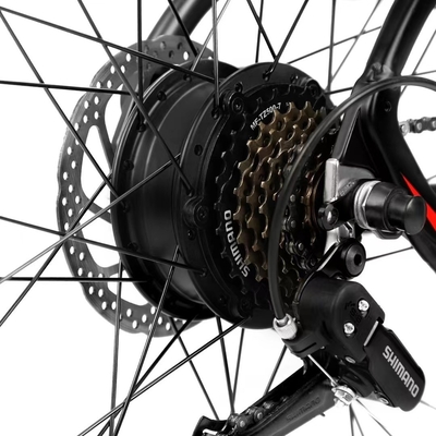 800W 페달 체인 전기 모터 차량 산 모험 최대 속도 30-50Km/h 배터리 위치 통합 배터리