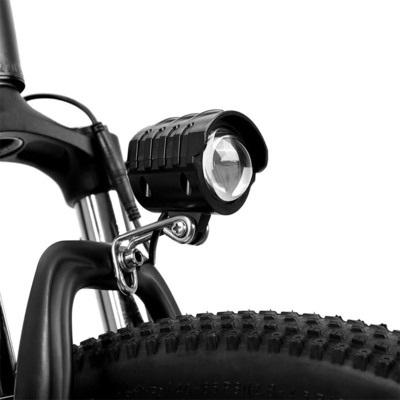 후부 허브 모터 중동 모터 커스텀 전기 자전거 LED 화면 36v 250w 전기 도시 자전거