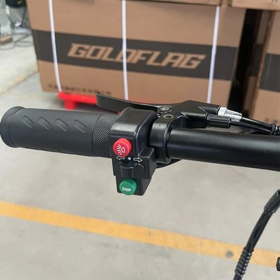 최대 속도 30-50Km/h 48v 접는 배터리 자동차 체인 잠금 성인 걷기 전기 자동차 타이어 너비 20 * 2.8