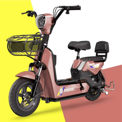 48V 고전력 전기 도시 자전거 2000w 3000w 전기 자전거 1000w 사용자 지정 로고