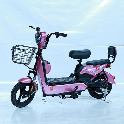 알루미늄 합금 프레임 다양한 E 사이클 전기 Pit Bike 48V 전압과 E-바이크