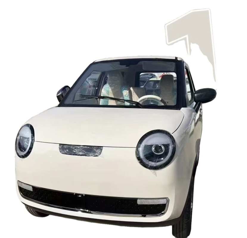 3000W 4륜 전기차 300km 내구력으로 지속가능한 교통의 미래