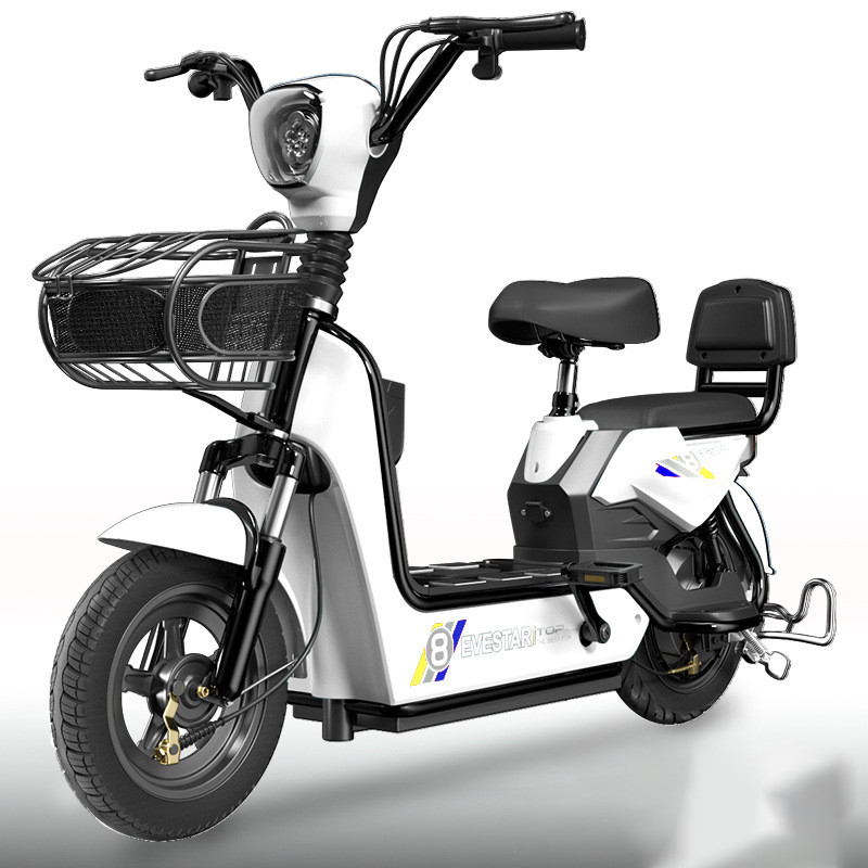 48V 고전력 전기 도시 자전거 2000w 3000w 전기 자전거 1000w 사용자 지정 로고
