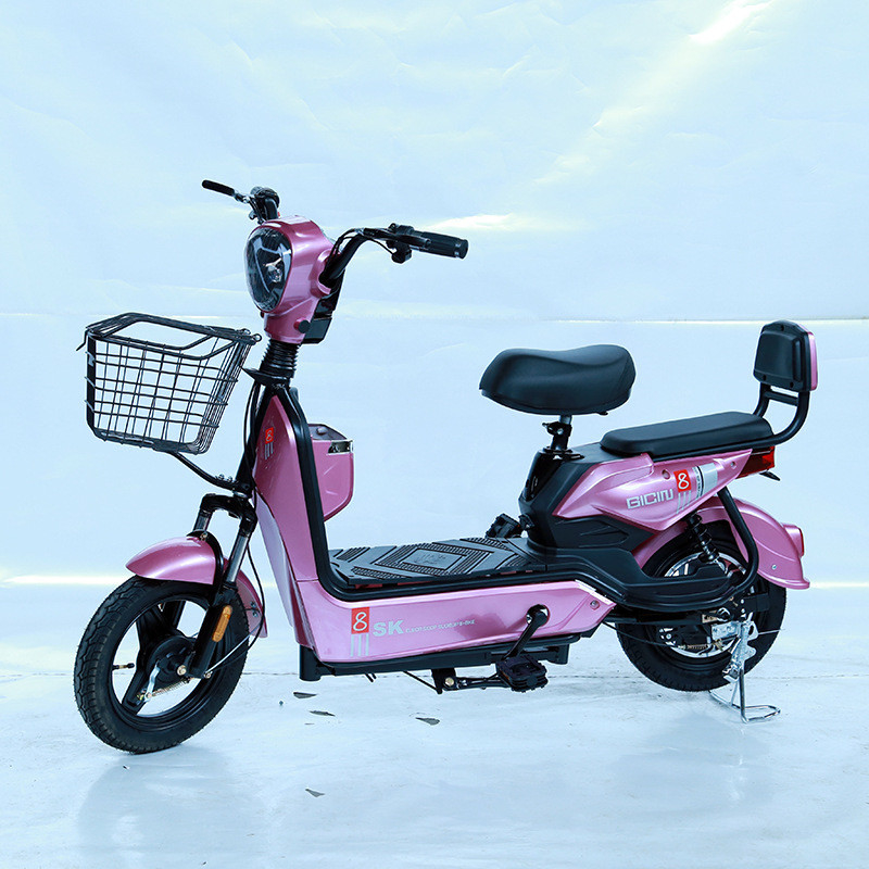 알루미늄 합금 프레임 다양한 E 사이클 전기 Pit Bike 48V 전압과 E-바이크