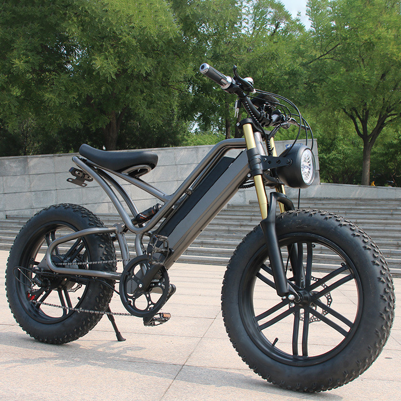 Fatbike Warehouse E-Bike 500w 750w 15AH 리?? 배터리 전력을 가진 V20 전기 자전거 모터